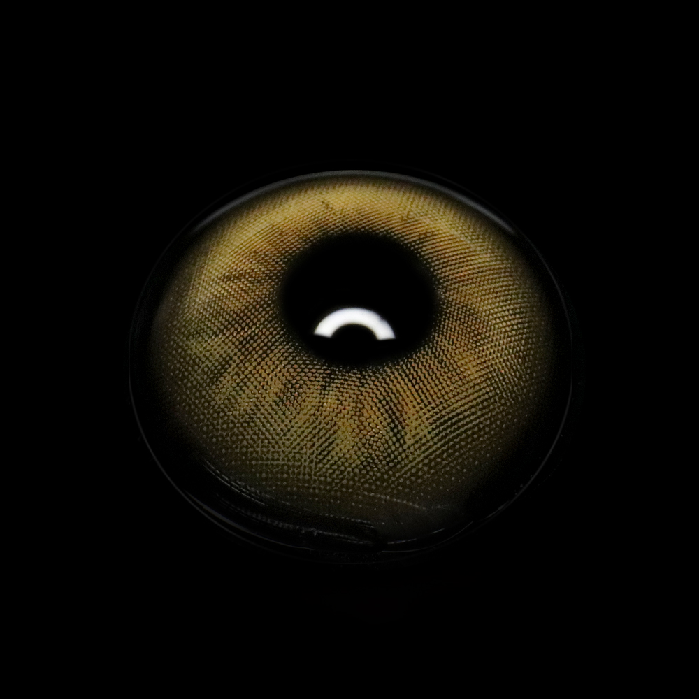 Andreia Brown Coloured Contact Lenses